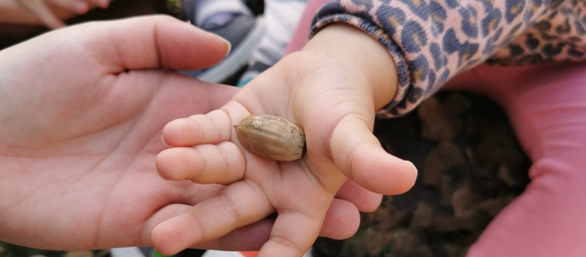 Opiekunka podtrzymuje dłoń dziecka trzymającego żołędzia - dobre wychowanie klasyczna edukacja żłobek warszawa wola bemowo